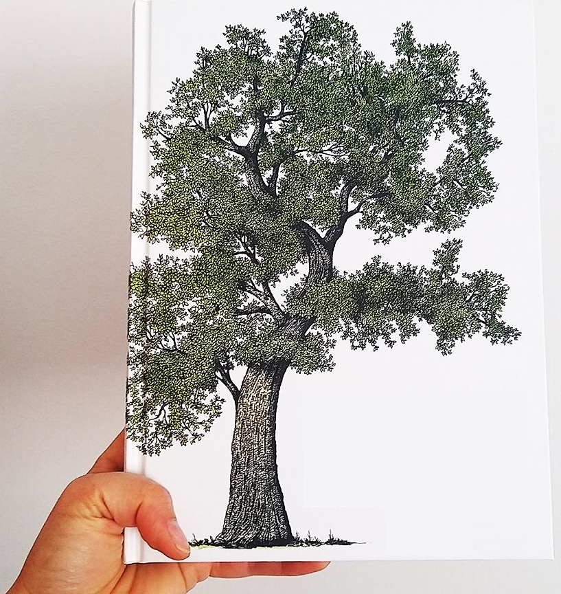 Come alberi - Centro Famiglia Cavallina - Trescore B.