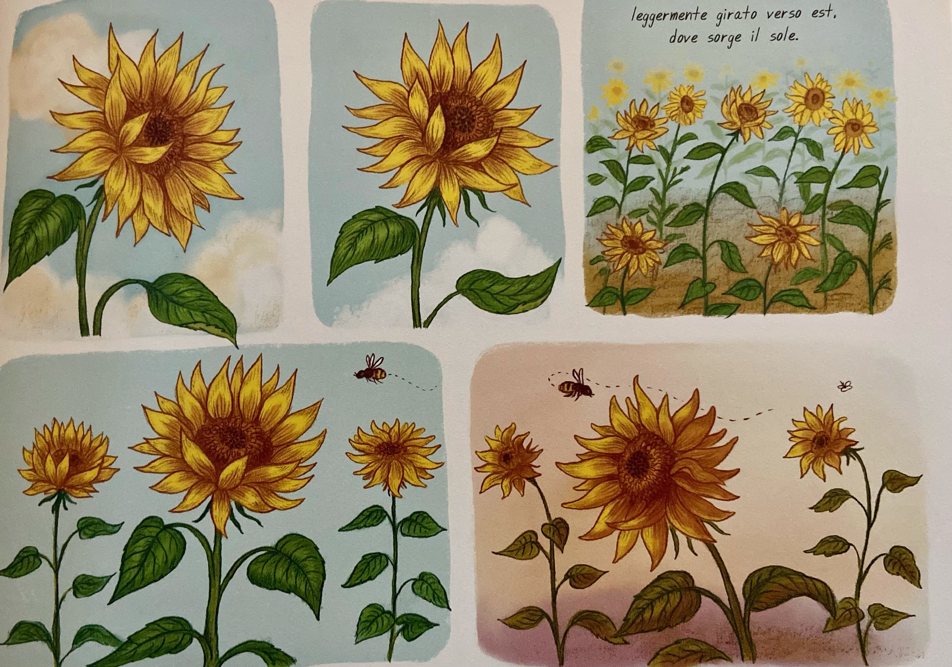 Piano piano - Centro Famiglia Sebino - Villongo